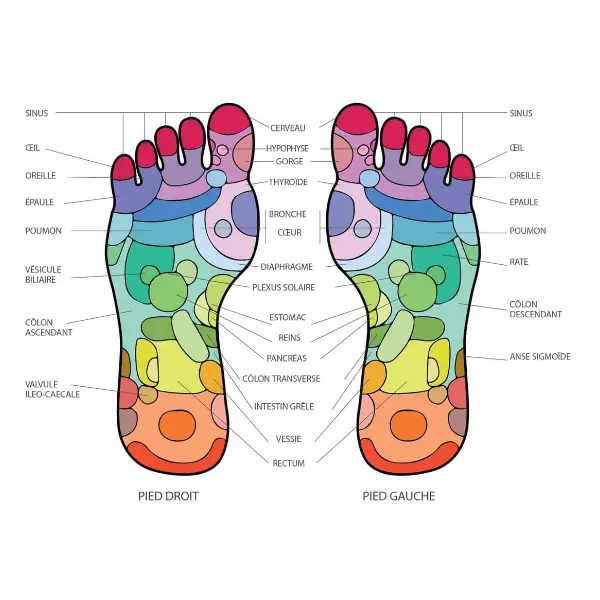 reflexologie
